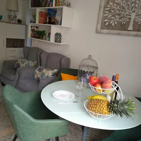 Cozy Apartamento *